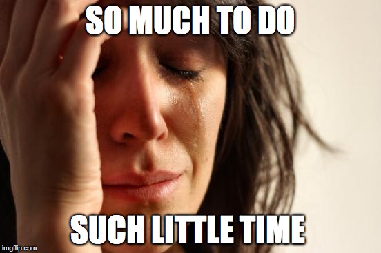 First World Problems | SO MUCH TO DO; SUCH LITTLE TIME | image tagged in memes,first world problems | made w/ Imgflip meme maker