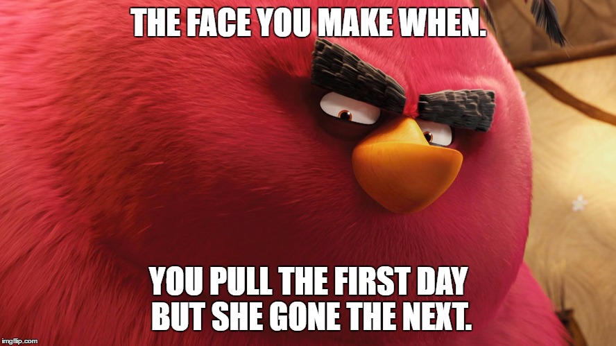 Memers | THE FACE YOU MAKE WHEN. YOU PULL THE FIRST DAY BUT SHE GONE THE NEXT. | image tagged in idfk | made w/ Imgflip meme maker