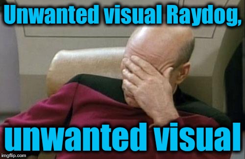 Captain Picard Facepalm Meme | Unwanted visual Raydog, unwanted visual | image tagged in memes,captain picard facepalm | made w/ Imgflip meme maker