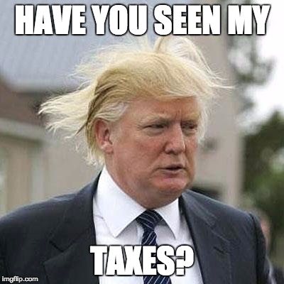 Donald Trump | HAVE YOU SEEN MY; TAXES? | image tagged in donald trump | made w/ Imgflip meme maker