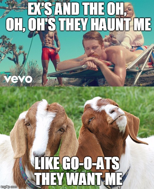 Goats want me | EX'S AND THE OH, OH, OH'S THEY HAUNT ME; LIKE GO-O-ATS THEY WANT ME | image tagged in goats | made w/ Imgflip meme maker