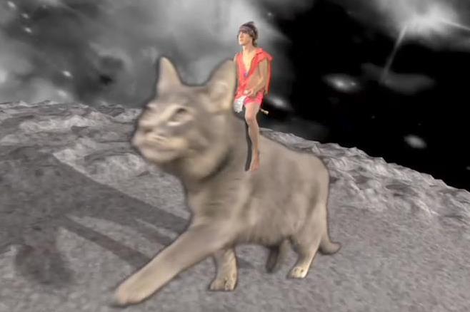 MGMT cat rider Blank Meme Template