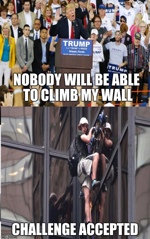 He probably wanted to catch the Rare  Pokemon on the Top  | NOBODY WILL BE ABLE TO CLIMB MY WALL; CHALLENGE ACCEPTED | image tagged in donald trump,challenge accepted rage face,funny,memes,mexican wall,trump 2016 | made w/ Imgflip meme maker