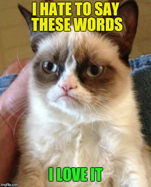 Grumpy Cat Meme | I HATE TO SAY THESE WORDS I LOVE IT | image tagged in memes,grumpy cat | made w/ Imgflip meme maker