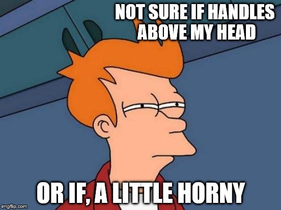 Look at the picture, you'll get it | NOT SURE IF HANDLES ABOVE MY HEAD; OR IF, A LITTLE HORNY | image tagged in memes,futurama fry | made w/ Imgflip meme maker