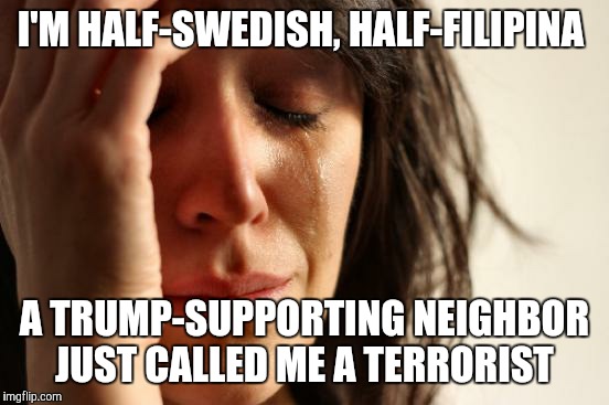First World Problems | I'M HALF-SWEDISH, HALF-FILIPINA; A TRUMP-SUPPORTING NEIGHBOR JUST CALLED ME A TERRORIST | image tagged in memes,first world problems | made w/ Imgflip meme maker