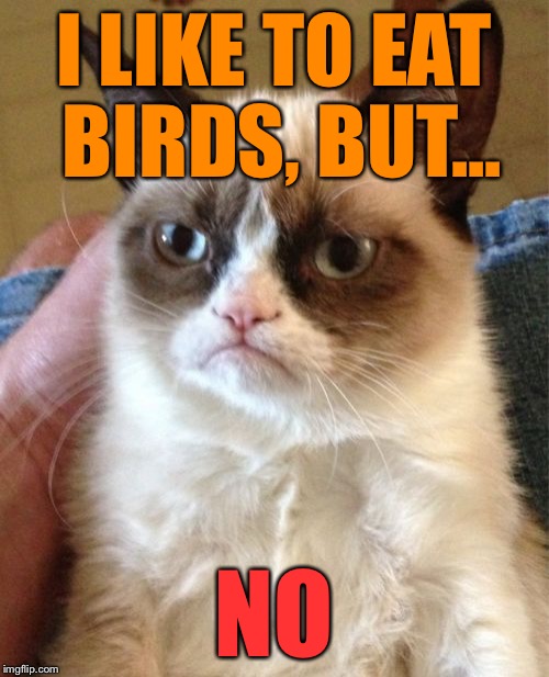 Grumpy Cat Meme | I LIKE TO EAT BIRDS, BUT... NO | image tagged in memes,grumpy cat | made w/ Imgflip meme maker