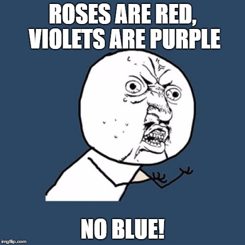 let's make sure we get that flower color right | ROSES ARE RED, VIOLETS ARE PURPLE; NO BLUE! | image tagged in memes,y u no | made w/ Imgflip meme maker