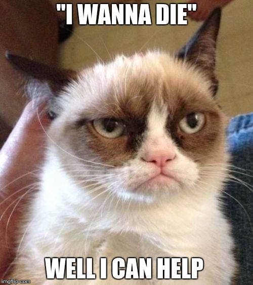 Grumpy Cat Reverse Meme | "I WANNA DIE"; WELL I CAN HELP | image tagged in memes,grumpy cat reverse,grumpy cat | made w/ Imgflip meme maker