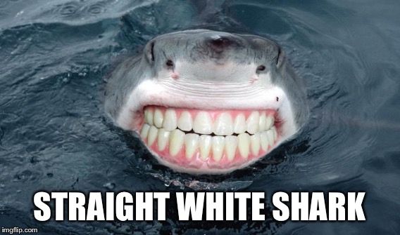 STRAIGHT WHITE SHARK | made w/ Imgflip meme maker