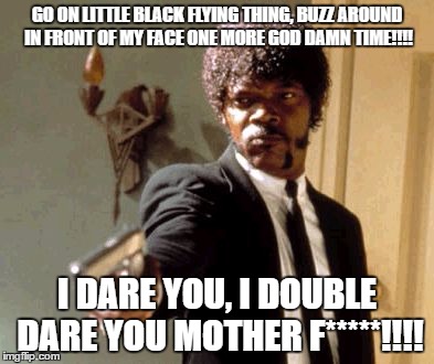 Say That Again I Dare You | GO ON LITTLE BLACK FLYING THING, BUZZ AROUND IN FRONT OF MY FACE ONE MORE GOD DAMN TIME!!!! I DARE YOU, I DOUBLE DARE YOU MOTHER F*****!!!! | image tagged in memes,say that again i dare you,funny,funny memes,funny meme | made w/ Imgflip meme maker
