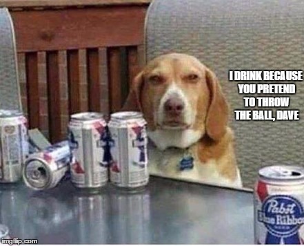 Dave's An Asshole | I DRINK BECAUSE YOU PRETEND TO THROW THE BALL, DAVE | image tagged in dogs | made w/ Imgflip meme maker