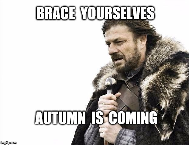 Winter is coming | BRACE  YOURSELVES; AUTUMN  IS  COMING | image tagged in winter is coming | made w/ Imgflip meme maker