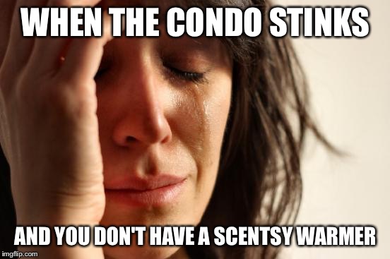 First World Problems | WHEN THE CONDO STINKS; AND YOU DON'T HAVE A SCENTSY WARMER | image tagged in memes,first world problems | made w/ Imgflip meme maker
