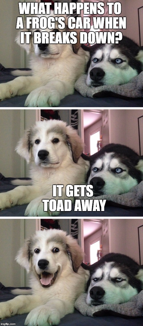 Bad pun dogs | WHAT HAPPENS TO A FROG'S CAR WHEN IT BREAKS DOWN? IT GETS TOAD AWAY | image tagged in bad pun dogs | made w/ Imgflip meme maker