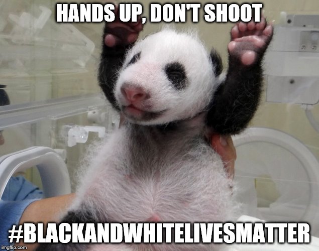 All problems can be solved by baby pandas.  |  HANDS UP, DON'T SHOOT; #BLACKANDWHITELIVESMATTER | image tagged in memes,black lives matter,hands up | made w/ Imgflip meme maker