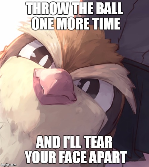 Insane Pidgey | THROW THE BALL ONE MORE TIME; AND I'LL TEAR YOUR FACE APART | image tagged in insane pidgey | made w/ Imgflip meme maker