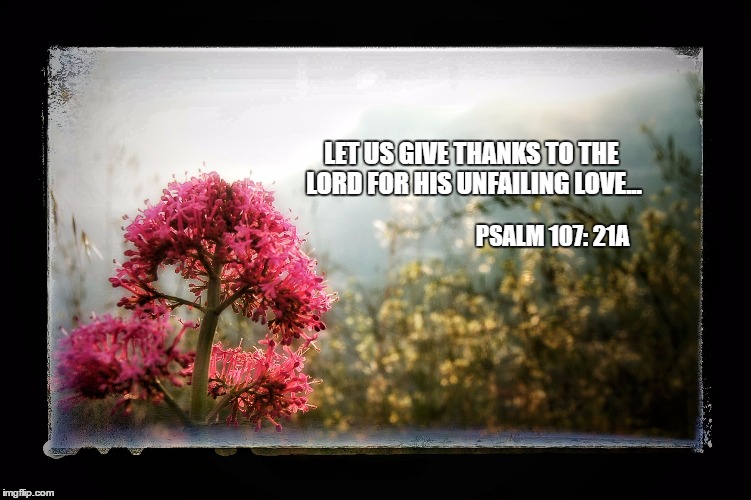 Give Thanks | LET US GIVE THANKS TO THE LORD FOR HIS UNFAILING LOVE... PSALM 107: 21A | image tagged in lord,thankful,love | made w/ Imgflip meme maker