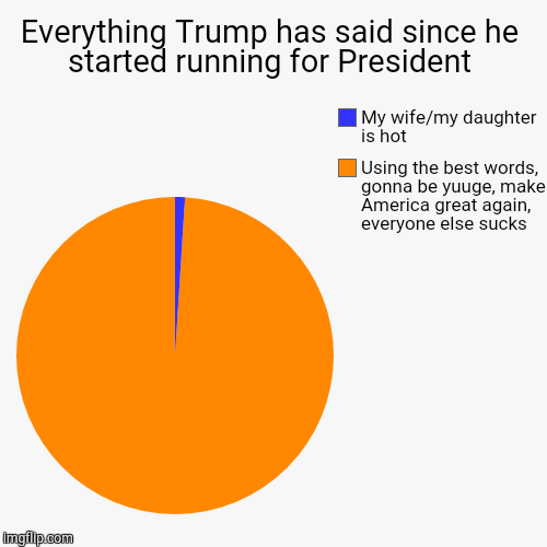 Even the pie chart is orange, just like the blowhard! | image tagged in funny,pie charts,memes,trump 2016,donald trump 2016,trump is a liar | made w/ Imgflip chart maker