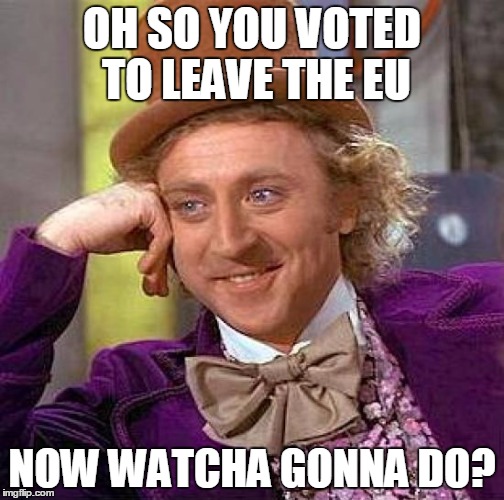 Creepy Condescending Wonka Meme | OH SO YOU VOTED TO LEAVE THE EU; NOW WATCHA GONNA DO? | image tagged in memes,creepy condescending wonka | made w/ Imgflip meme maker