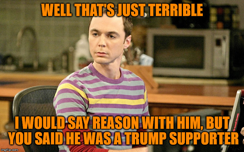 WELL THAT'S JUST TERRIBLE I WOULD SAY REASON WITH HIM, BUT YOU SAID HE WAS A TRUMP SUPPORTER | image tagged in sheldon 1 | made w/ Imgflip meme maker