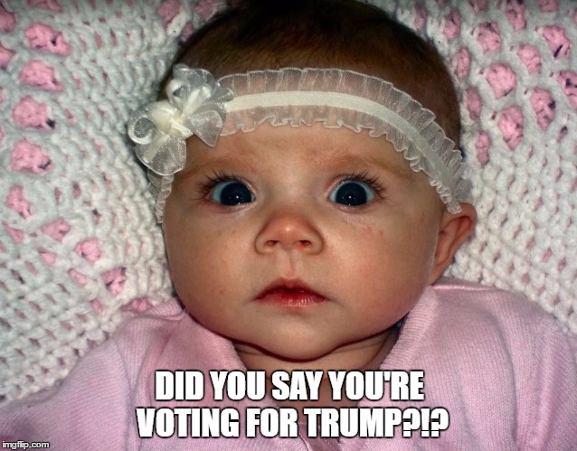 DID YOU SAY YOU'RE VOTING FOR TRUMP?!? | image tagged in anti-trump,election 2016 | made w/ Imgflip meme maker