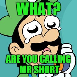 WHAT? ARE YOU CALLING MR SHORT | made w/ Imgflip meme maker