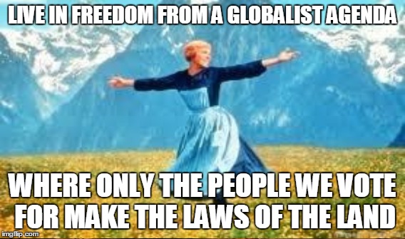 LIVE IN FREEDOM FROM A GLOBALIST AGENDA WHERE ONLY THE PEOPLE WE VOTE FOR MAKE THE LAWS OF THE LAND | made w/ Imgflip meme maker