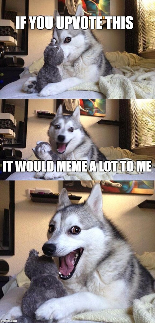 It would really meme a lot to me | IF YOU UPVOTE THIS; IT WOULD MEME A LOT TO ME | image tagged in memes,bad pun dog,upvote,hot,puns,dog | made w/ Imgflip meme maker
