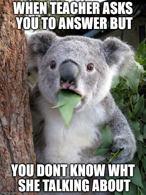 Surprised Koala | WHEN TEACHER ASKS YOU TO ANSWER BUT; YOU DONT KNOW WHT SHE TALKING ABOUT | image tagged in memes,surprised coala | made w/ Imgflip meme maker