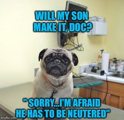 WILL MY SON MAKE IT, DOC? " SORRY...I'M AFRAID HE HAS TO BE NEUTERED" | made w/ Imgflip meme maker