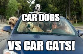 CAR DOGS VS CAR CATS! | made w/ Imgflip meme maker