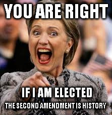 hillary clinton | YOU ARE RIGHT; IF I AM ELECTED; THE SECOND AMENDMENT IS HISTORY | image tagged in hillary clinton | made w/ Imgflip meme maker