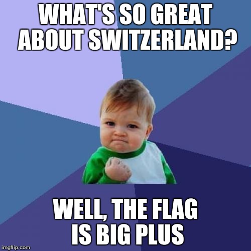 Success Kid | WHAT'S SO GREAT ABOUT SWITZERLAND? WELL, THE FLAG IS BIG PLUS | image tagged in memes,success kid | made w/ Imgflip meme maker