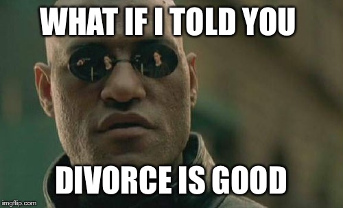 Matrix Morpheus | WHAT IF I TOLD YOU; DIVORCE IS GOOD | image tagged in memes,matrix morpheus | made w/ Imgflip meme maker