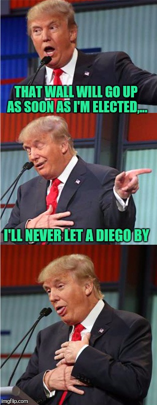 Really bad pun Trump | THAT WALL WILL GO UP AS SOON AS I'M ELECTED,... I'LL NEVER LET A DIEGO BY | image tagged in bad pun trump,sewmyeyesshut,worst candidate ever,funny memes | made w/ Imgflip meme maker