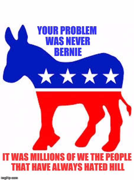 Democrat donkey | YOUR PROBLEM WAS NEVER BERNIE; IT WAS MILLIONS OF WE THE PEOPLE THAT HAVE ALWAYS HATED HILL | image tagged in democrat donkey | made w/ Imgflip meme maker