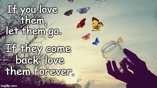 Butterflies | If you love them, let them go. If they come back, love them forever. | image tagged in butterflies | made w/ Imgflip meme maker