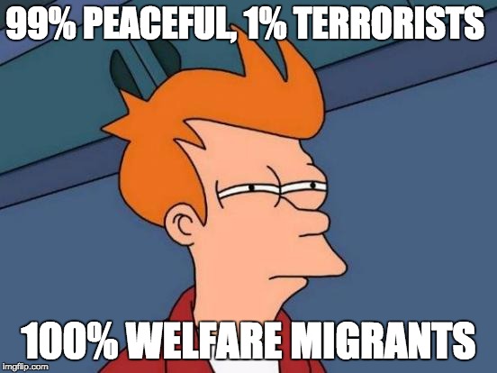 Futurama Fry Meme | 99% PEACEFUL, 1% TERRORISTS 100% WELFARE MIGRANTS | image tagged in memes,futurama fry | made w/ Imgflip meme maker