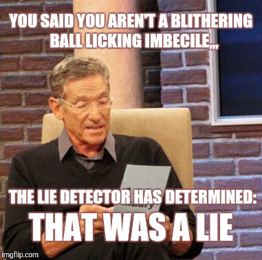 Maury Lie Detector | YOU SAID YOU AREN'T A BLITHERING  BALL LICKING IMBECILE,,, THE LIE DETECTOR HAS DETERMINED:; THAT WAS A LIE | image tagged in memes,maury lie detector | made w/ Imgflip meme maker