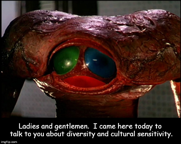 Ladies and gentlemen.  I came here today to talk to you about diversity and cultural sensitivity. | image tagged in more diversity | made w/ Imgflip meme maker