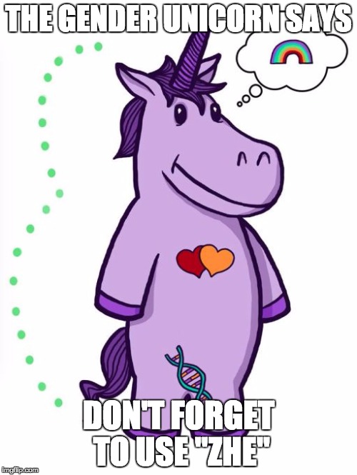 Gender Unicorn.  It's real.  | THE GENDER UNICORN SAYS; DON'T FORGET TO USE "ZHE" | image tagged in gender,sjw,transgender | made w/ Imgflip meme maker