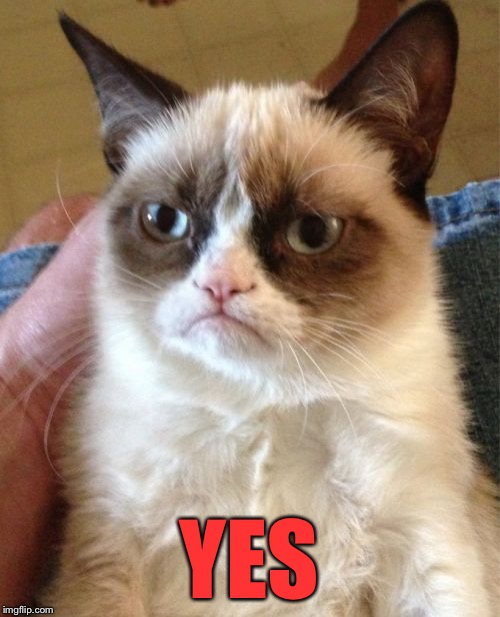 Grumpy Cat Meme | YES | image tagged in memes,grumpy cat | made w/ Imgflip meme maker