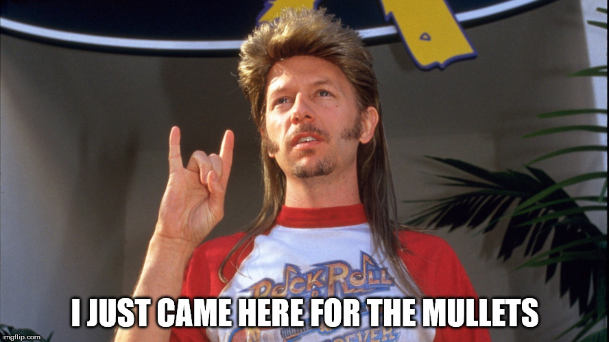 I JUST CAME HERE FOR THE MULLETS | image tagged in joe dirt | made w/ Imgflip meme maker