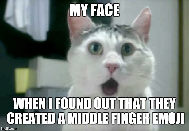 True story. | MY FACE; WHEN I FOUND OUT THAT THEY CREATED A MIDDLE FINGER EMOJI | image tagged in memes,omg cat,emojis,wtf | made w/ Imgflip meme maker