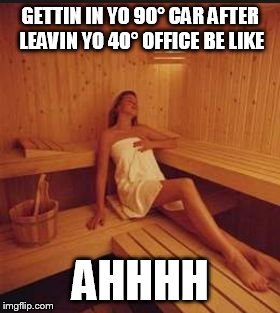 sauna | GETTIN IN YO 90° CAR AFTER LEAVIN YO 40° OFFICE BE LIKE; AHHHH | image tagged in sauna | made w/ Imgflip meme maker