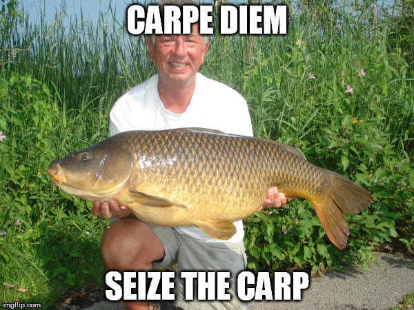 CARPE DIEM; SEIZE THE CARP | image tagged in carpe diem | made w/ Imgflip meme maker