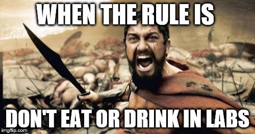 Sparta Leonidas Meme | WHEN THE RULE IS; DON'T EAT OR DRINK IN LABS | image tagged in memes,sparta leonidas | made w/ Imgflip meme maker