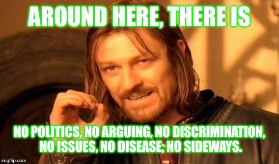 One Does Not Simply Meme | AROUND HERE, THERE IS NO POLITICS, NO ARGUING, NO DISCRIMINATION, NO ISSUES, NO DISEASE, NO SIDEWAYS. | image tagged in memes,one does not simply | made w/ Imgflip meme maker
