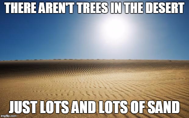 desert | THERE AREN'T TREES IN THE DESERT; JUST LOTS AND LOTS OF SAND | image tagged in desert | made w/ Imgflip meme maker